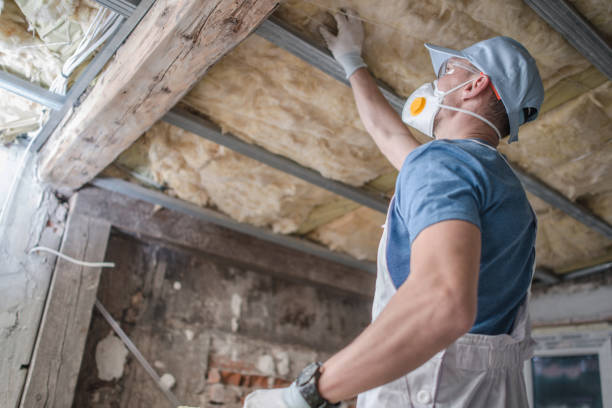 Best Residential Insulation Services  in Dupont, WA