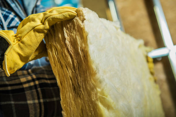 Best Insulation for New Construction  in Dupont, WA