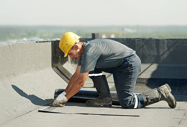 Best Energy-efficient Insulation  in Dupont, WA